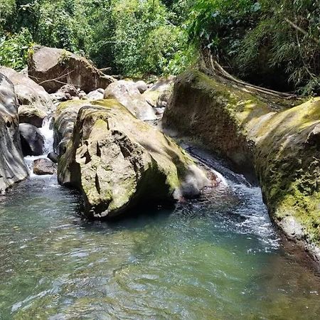Maison La Voute Plage A 50M Et Riviere A Proximite فيو-هابيتانتيس المظهر الخارجي الصورة