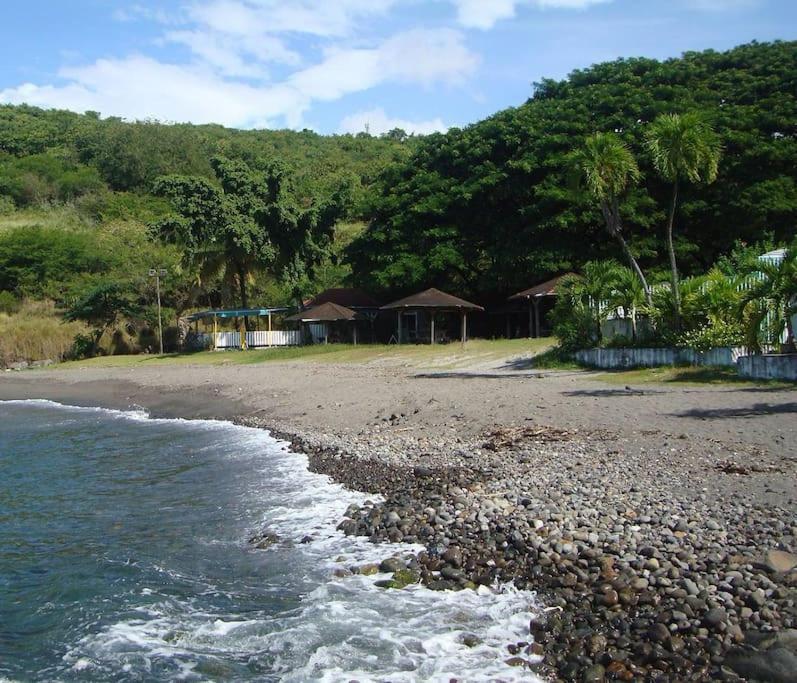Maison La Voute Plage A 50M Et Riviere A Proximite فيو-هابيتانتيس المظهر الخارجي الصورة